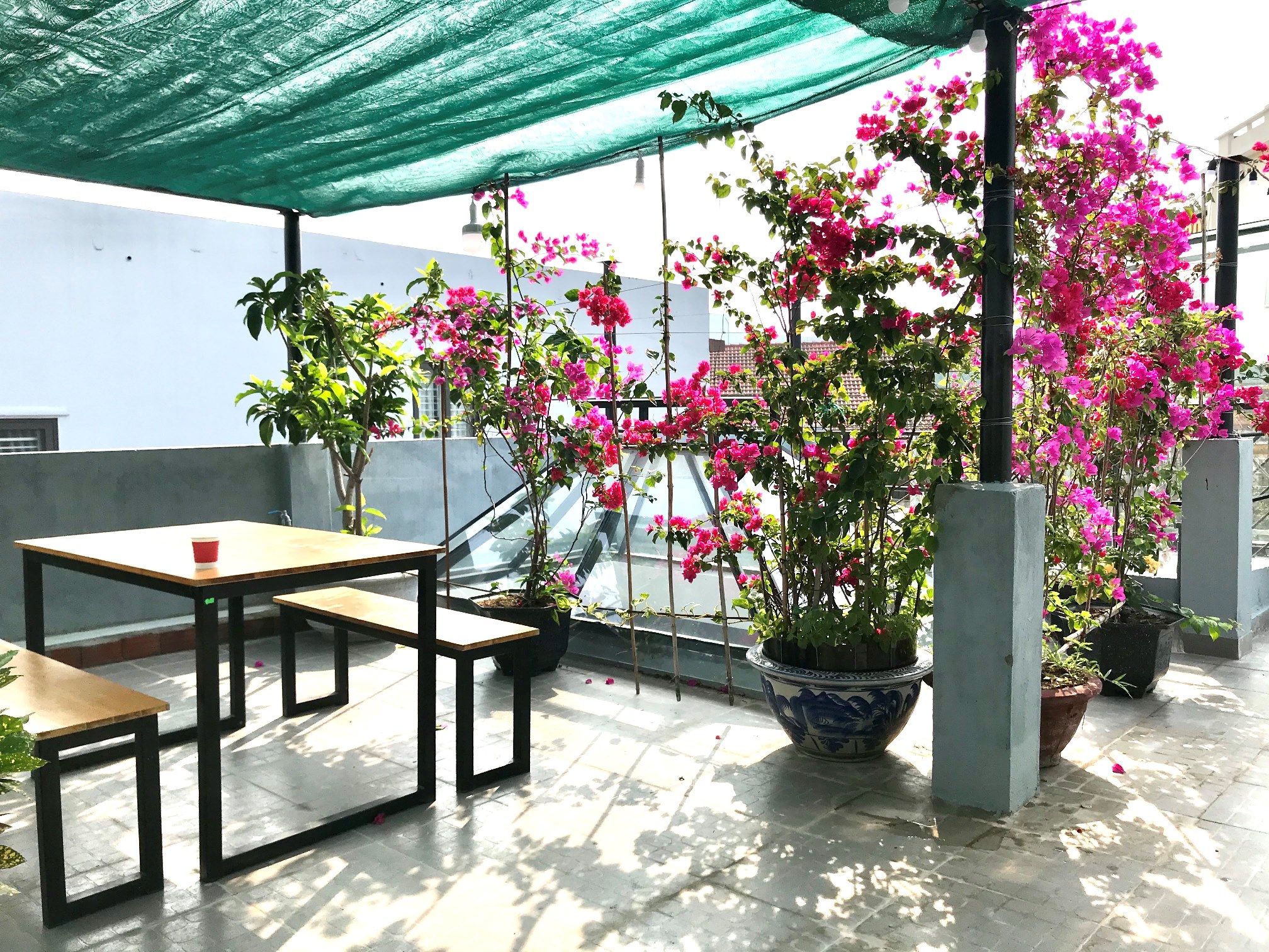 Giới thiệu về COSY House 19 san thuong 4